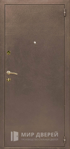 Входная дверь в дом с зеркалом №67 - фото вид снаружи